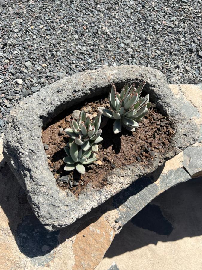 Casa Rural Con Bano Adaptado Y Piscina En Mogán Eksteriør billede