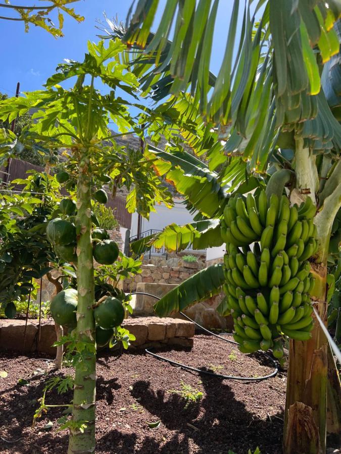 Casa Rural Con Bano Adaptado Y Piscina En Mogán Eksteriør billede