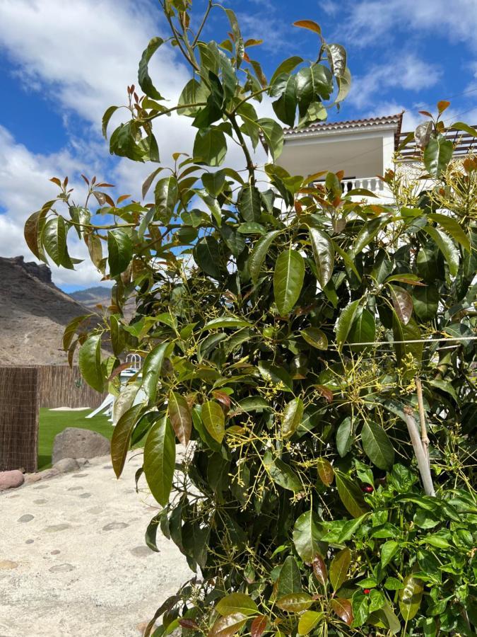 Casa Rural Con Bano Adaptado Y Piscina En Mogán Eksteriør billede